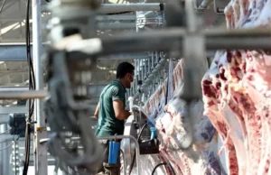 Kesimhanelerde Dijital Dönem: 2027’de Yeni Kurallar Başlıyor