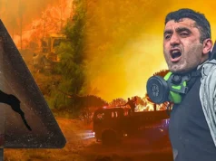 Adalet Bakanı Gürlek’ten Orman Yangınları Açıklaması: 12 Tutuklama