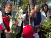 Bakan Yumaklı’nın İncir Fidesi Dikimindeki ‘Saksı’ Hatası Sosyal Medyada Gündem Oldu